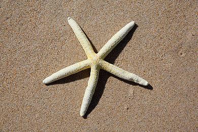 圣剑传说系列新作确定于2024年夏季发售